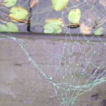 frayed net